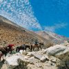 cabalgata-Elqui