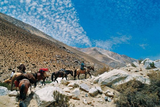 cabalgata-Elqui