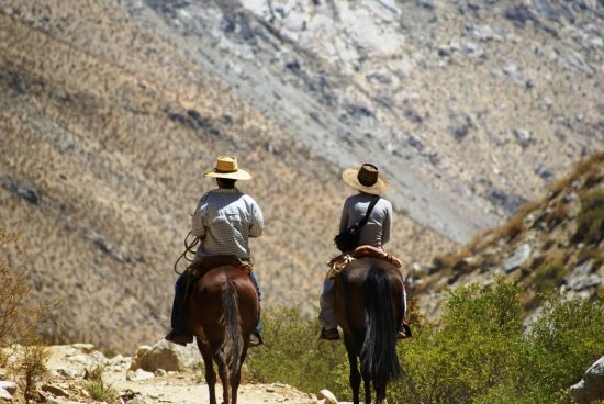 cabalgata elqui
