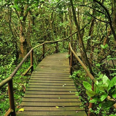 Parque Nacional Fray Jorge