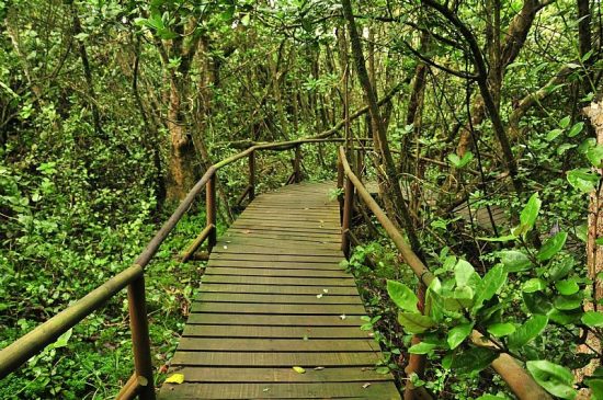 Parque Nacional Fray Jorge