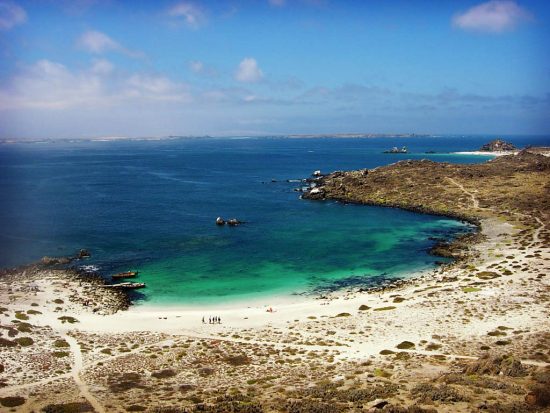 Reserva Nacional Pingüino de Humboldt - Imagen 6