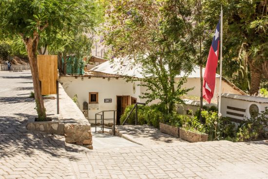 Full Day Valle del Elqui - Imagen 8