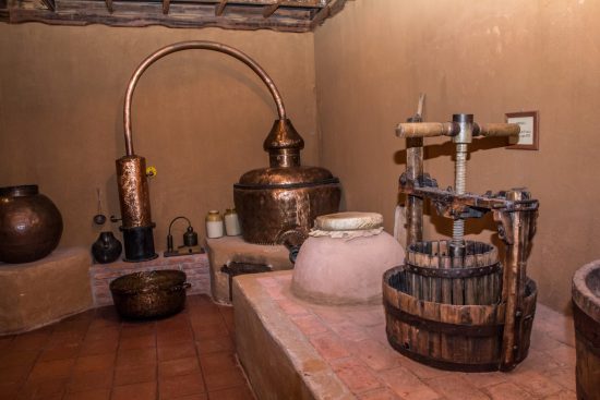 Full Day Valle del Elqui - Imagen 9