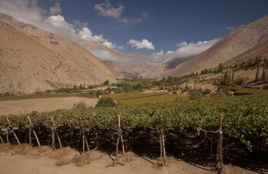 Full Day Valle del Elqui - Imagen 17