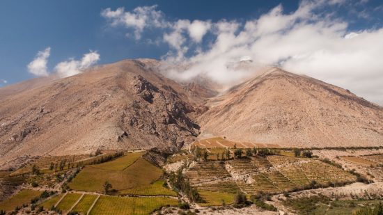 Full Day Valle del Elqui - Imagen 12
