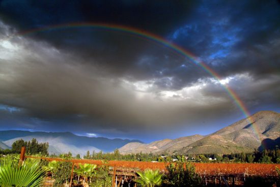 Full Day Valle del Elqui - Imagen 11