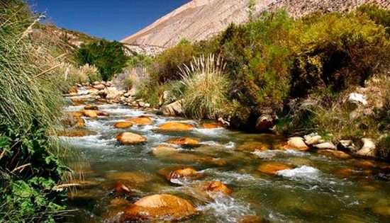 Full Day Valle del Elqui - Imagen 13