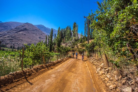 Valle bike tour - Imagen 5