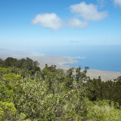 Parque Nacional Fray Jorge