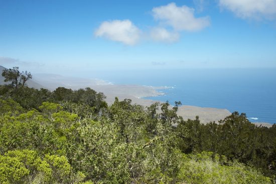 Parque Nacional Fray Jorge - Imagen 2