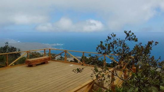 Parque Nacional Fray Jorge - Imagen 7