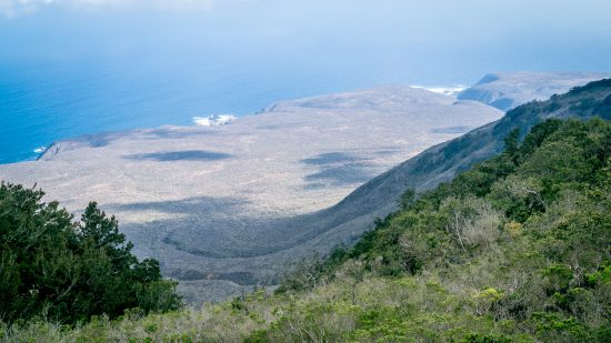 Parque Nacional Fray Jorge - Imagen 3